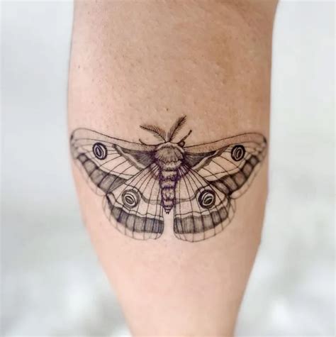 82 Intriguing Moth Tattoo Ideas with Fascinating。